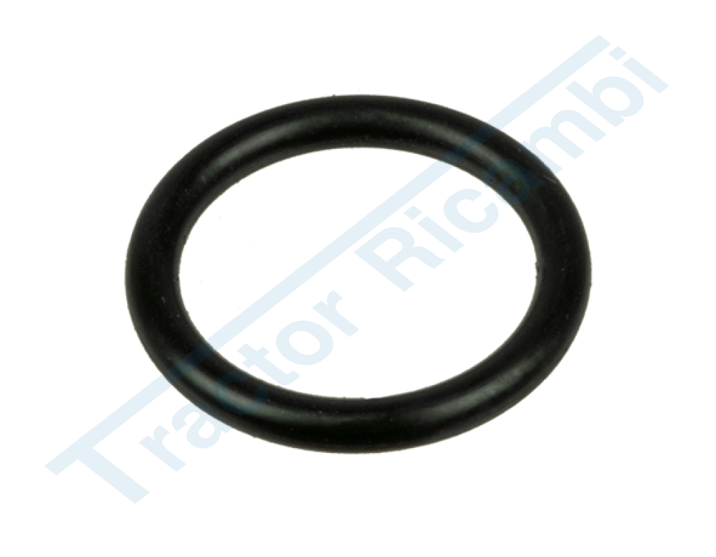 O-Ring for code 25093