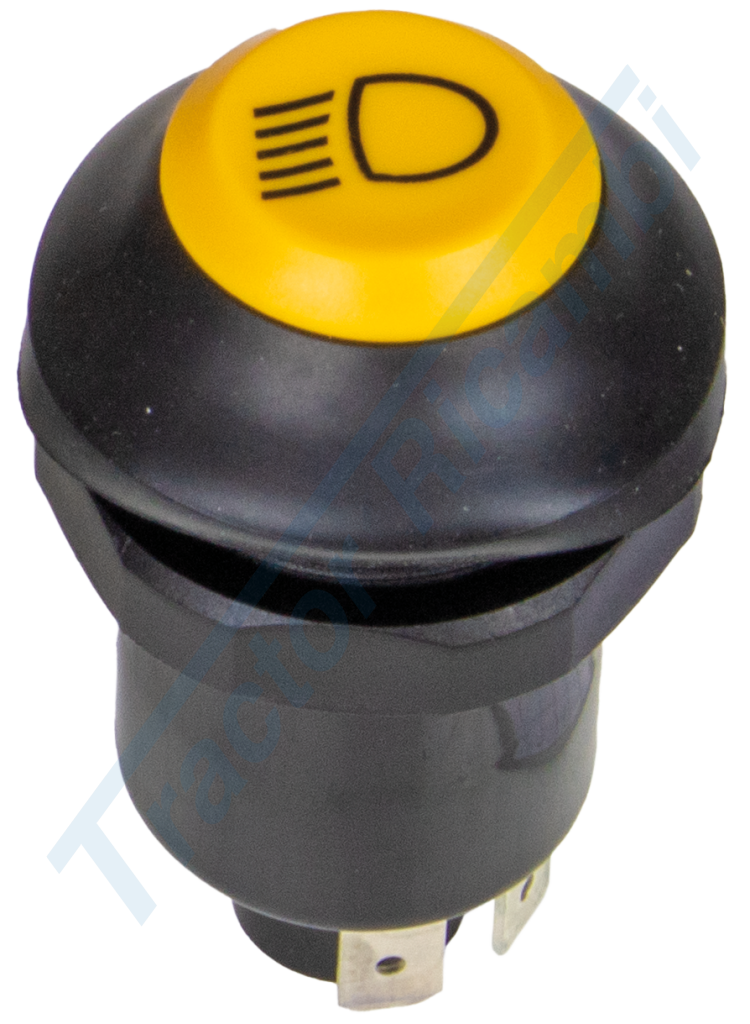 Button with worklight symbol