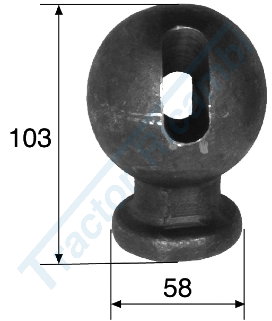 SFERA AGRICOLA ؠ78 AD ASOLA