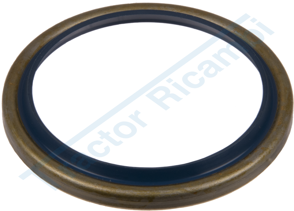 Oil Seal Ring