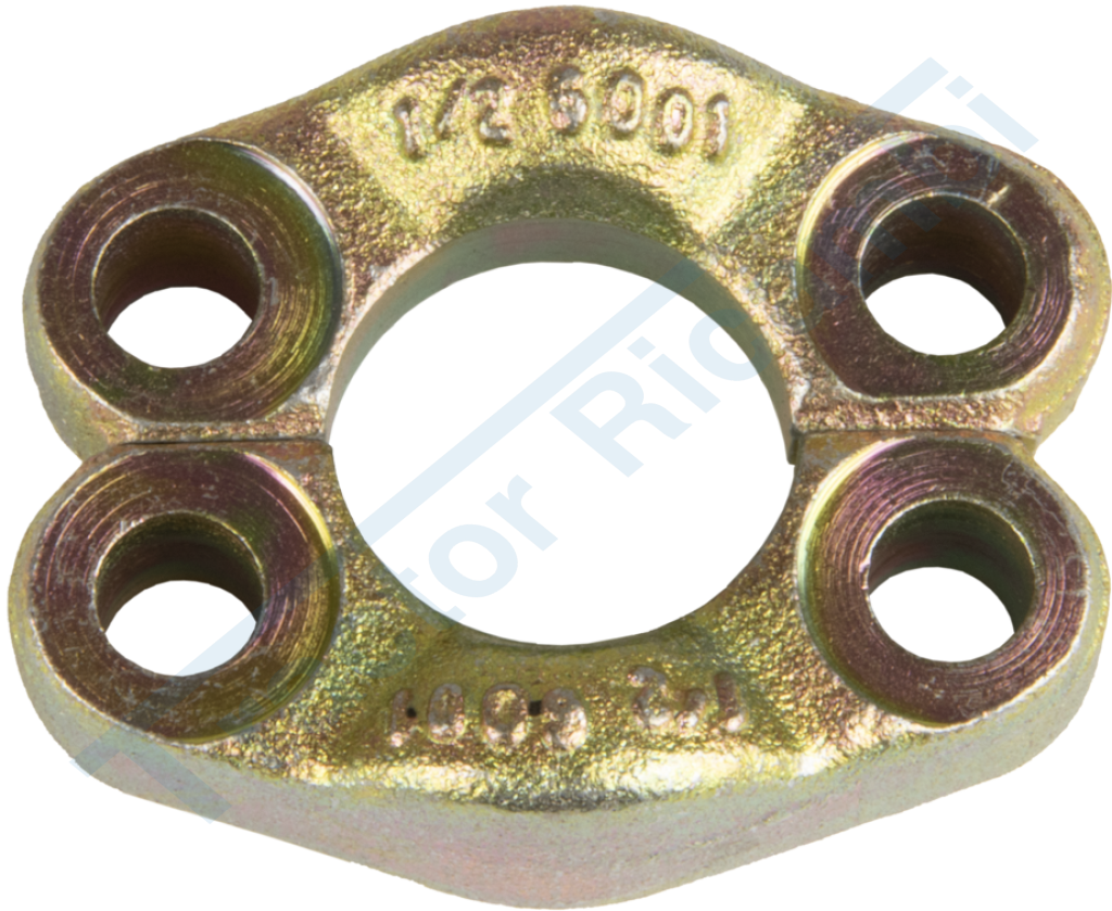 Coppia di semi flange SAE 6000 psi