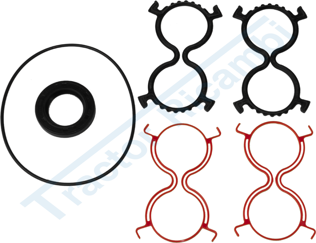 Kit guarnizioni per pompe oleodinamiche