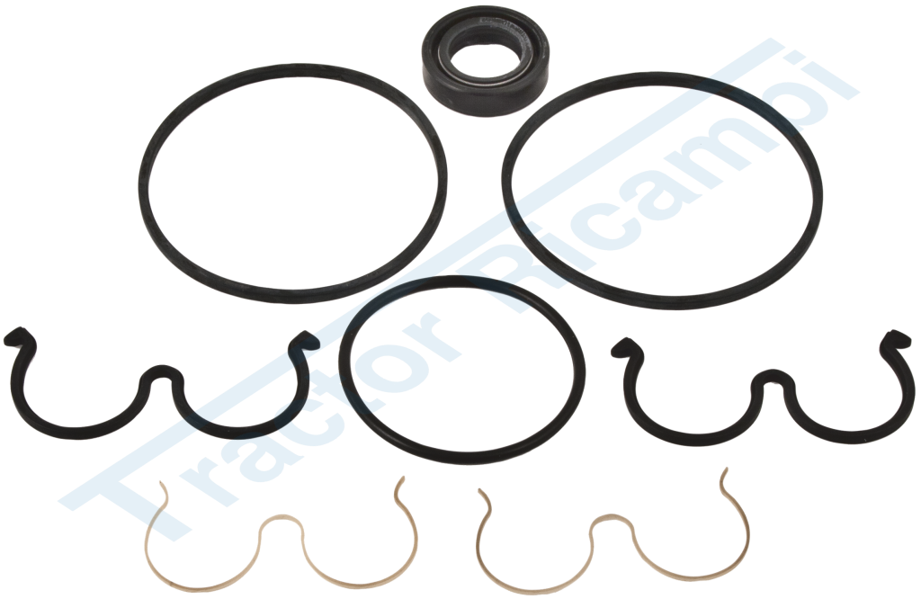 Gasket kit for PLP20 pumps