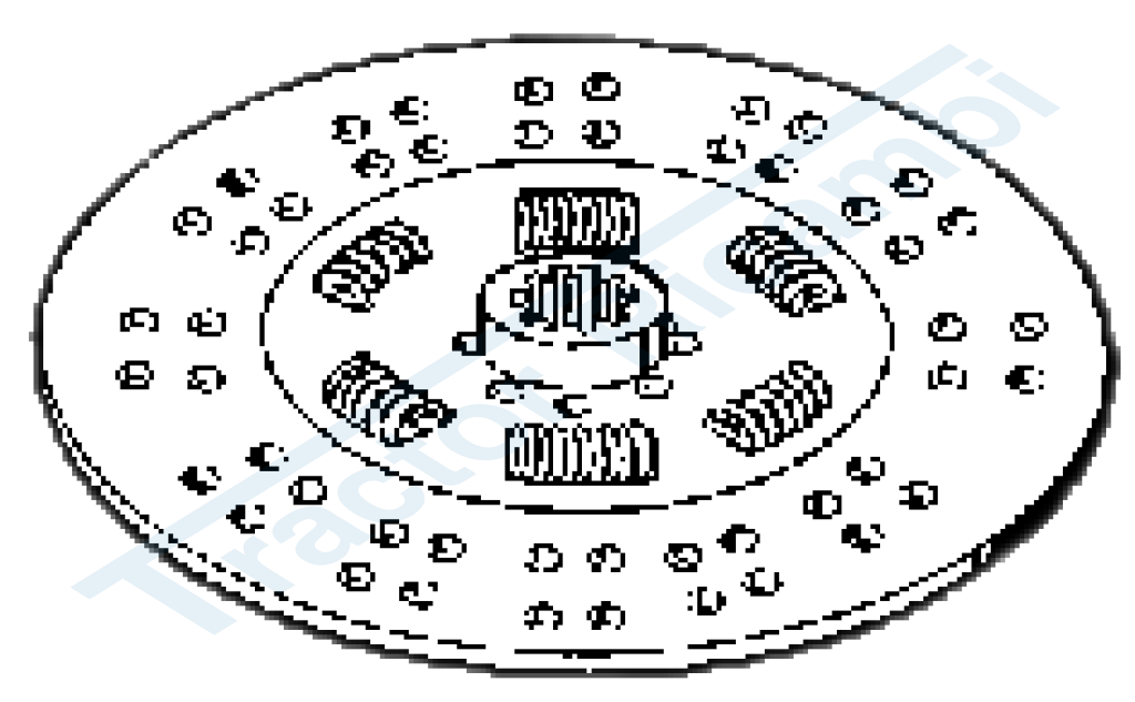 Clutch disc with springs